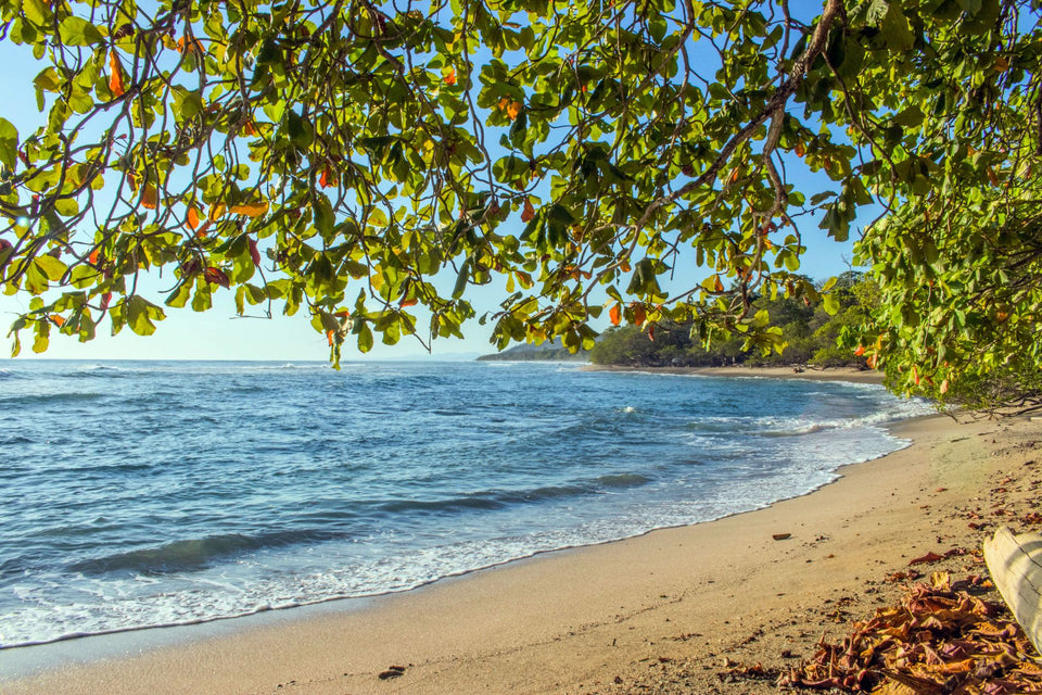 Imagen relacionada con Accesorios de celular para ir a la playa en Costa Rica: protege tu teléfono del sol y la arena